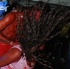 trini_luau_all_incl_2k8-123