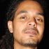 under_the_trees_2008-080