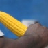 yam_jam_jul27-035