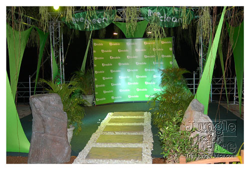 amnesia_2009-031