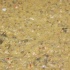 aqua_july26-047