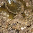 aqua_july26-048