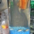 aqua_july26-059