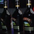 beach_house_carnival_2009-187