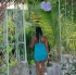 bliss_all_incl_barbados_aug1-007