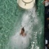 booze_cruise_2009_pt1-220