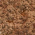 caliente_aug23-006