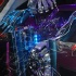 carib_car_boat_show_aug16-100