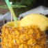 caribbean_festival_village_may23-081