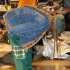 caribbean_festival_village_may23-146