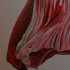 caribbean_film_corner_2009-012