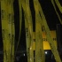 caution_2k9-009