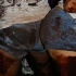 cocoa_aug9-003