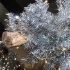 cuchi_la_la_dec19-036