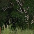 dark_vi_sept4-002
