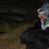 dark_vi_sept4-013