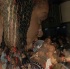 destra_and_friends_live_apr25-084