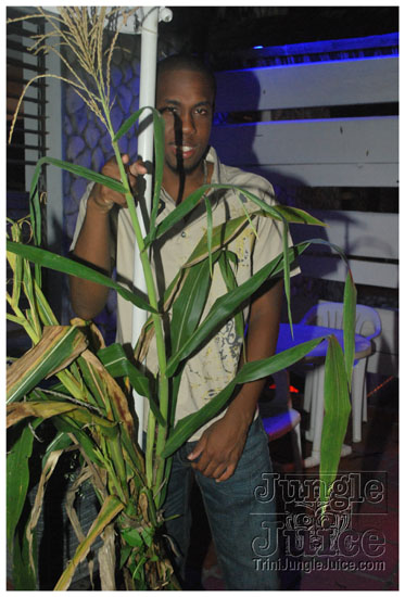 farmville_oct30-004