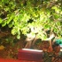 farmville_oct30-005