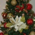 hangover_dec11-023