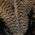 harts_launch_2010-032