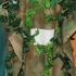 iere_aug8-040