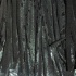 iere_aug8-043