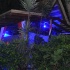 island_passion_jun6-111