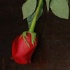love_in_the_city_feb14-011