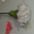 love_in_the_city_feb14-013