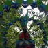 luton_carnival_may25_pt1-007