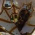 luton_carnival_may25_pt2-128