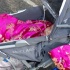 luton_carnival_may25_pt2-190
