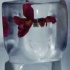 mask_oct31-055