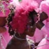 miami_broward_jr_carnival_oct4-021