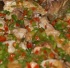 prof_culinary_classics_nov14-017