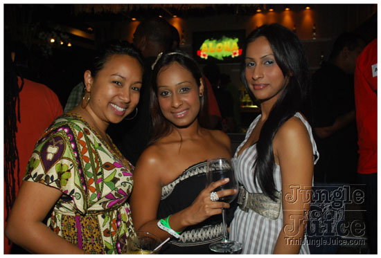 pulse8_launch_2010-152