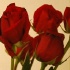 red_appropriated_apr03-014