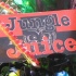 rotterdam_carnival_2009-091