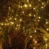 santa_say_duck_work_dec23-029