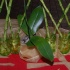 shipwrecked_all_inclusive_aug29-007