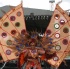 tampabay_carnival_2k9_day2_pt1-119