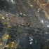 the_shade_new_years_eve_2009-057