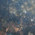 the_shade_new_years_eve_2009-058