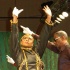the_show_aug1-072