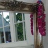 trini_luau_2009_aug22-007