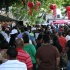 under_the_trees_july4-128