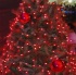 xmas_passions_2009_dec25-005
