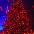 xmas_passions_2009_dec25-090