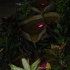 360_degrees_of_pleasure_apr28-023